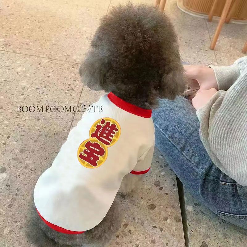 Thú Cưng Chó Mèo Mùa Xuân Mùa Hè Quần Áo Dạo Phố Thú Cưng Hoạt Hình Nhỏ Vừa Quần Áo Cho Chó Mỏng Phong Cách Corgi Teddy Pháp Chiến Đấu