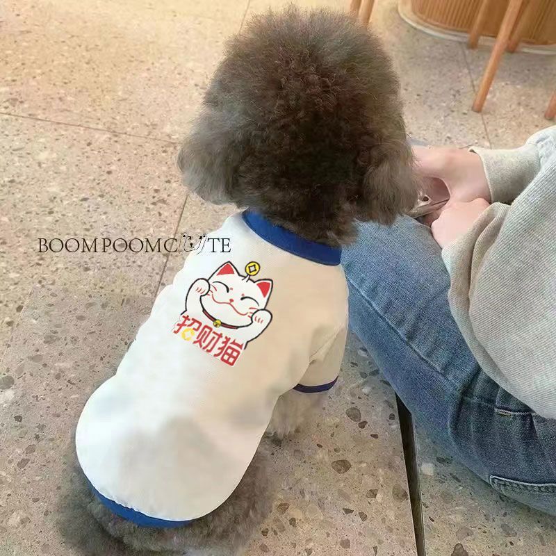 Thú Cưng Chó Mèo Mùa Xuân Mùa Hè Quần Áo Dạo Phố Thú Cưng Hoạt Hình Nhỏ Vừa Quần Áo Cho Chó Mỏng Phong Cách Corgi Teddy Pháp Chiến Đấu