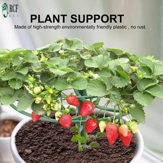 Khung leo cây làm vườn Khung leo cây có thể điều chỉnh Giá đỡ leo núi Trellis Thích hợp cho giá trồng cây
