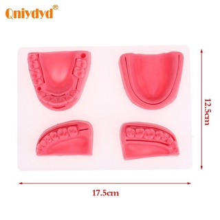 4 Mô phỏng nha khoa Mô hình khâu răng miệng Kẹo cao su Thiết bị đào tạo giảng dạy Kết hợp bốn răng di chuyển