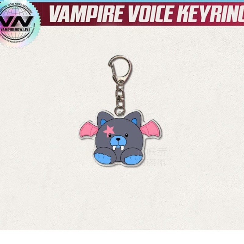EN KPOP BOY Band Keychain HESEUNG Fan Collection Accessories Label Idol Support