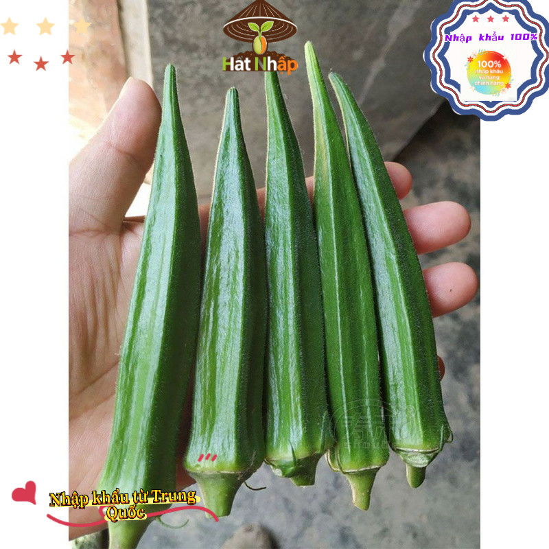 Hạt giống đậu bắp xanh，1cái túiKhoảng 90 viên thuốc，-k008
