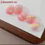 ZK Gỗ Đôi Đầu Móng Tay Nghệ Thuật Bàn Chải Khắc Hoa Tranh Bút Trộn DIY Dụng Cụ Làm Móng Tay Đa Năng VN