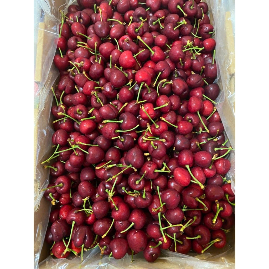 [Ship Hỏa Tốc HCM 1-2 giờ ] 1Kg Cherry Mỹ đầu mùa tươi ngọt [BO-BL-028]