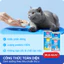 Combo 6-12-24 Lon Pate Mèo MRVET 400G - Thức ăn mèo tiêu hóa, sáng mắt, mượt lông