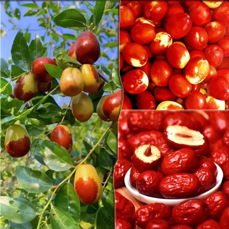 Táo Đỏ Sấy Khô Desa Hũ 120g Vị Ngọt Dịu Thơm Nhẹ Dễ Thưởng Thức