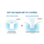 Máy Lọc không khí Daikin MC30YVM7 - Diện tích 23m2 - Bảo hành chính hãng 12 tháng