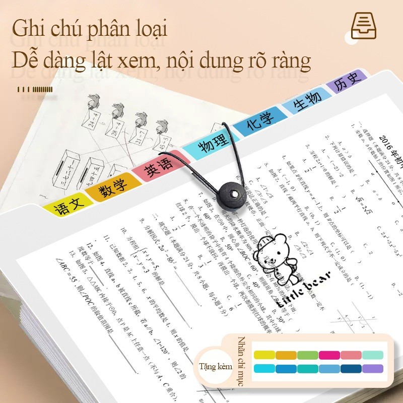 Túi đựng tài liệu a4 dễ thương với sticker capybara độc đáo, kết hợp nhiều ngăn tiện ích từ PP 8/12 bền bỉ
