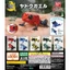 Hàng có sẵn BANDAI Viên Đồ Chơi Sinh Học Lớn Minh Họa Sách Độc Mũi Tên Ếch Ếch Mô Phỏng Trang Trí Động Vật U6U3