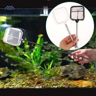 ELBBKG Câu Cá Hạ Cánh Lưới Chống Rỉ Chống Ăn Mòn Di Động Thép Không Gỉ Kính Thiên Văn Dây Câu Cá Bể Cá Phụ Kiện Mới