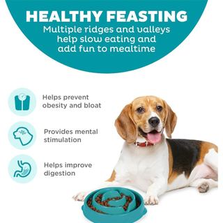 Bát ăn nhẹ vui nhộn – Dung tích 2 cốc vừa phải, cho ăn chậm, Chó & Mèo nhỏ đến vừa, Chống trượt, Xanh lam, Hoa văn thả