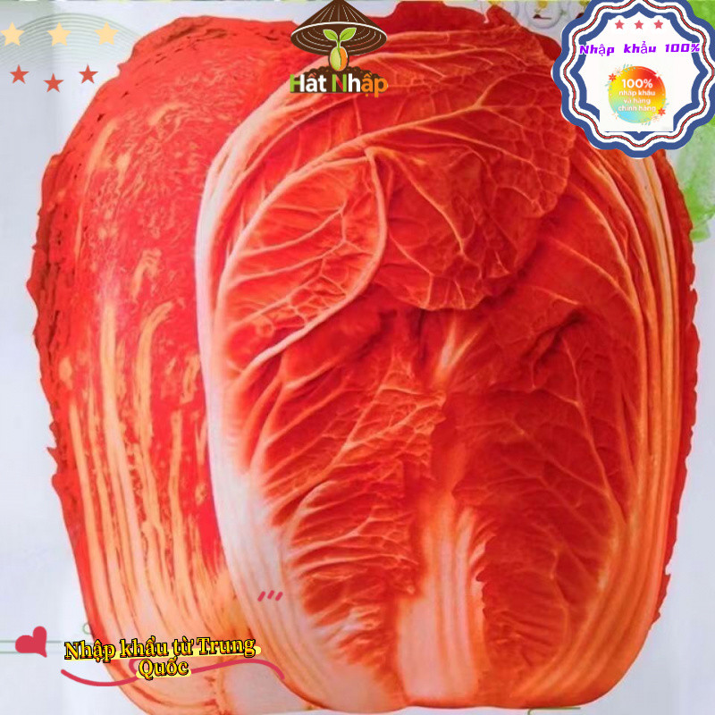 Hạt giống cải thảo Phượng Hoàng F1 Hybrid,Khoảng 700 hạt trong bao bì gốc, k027