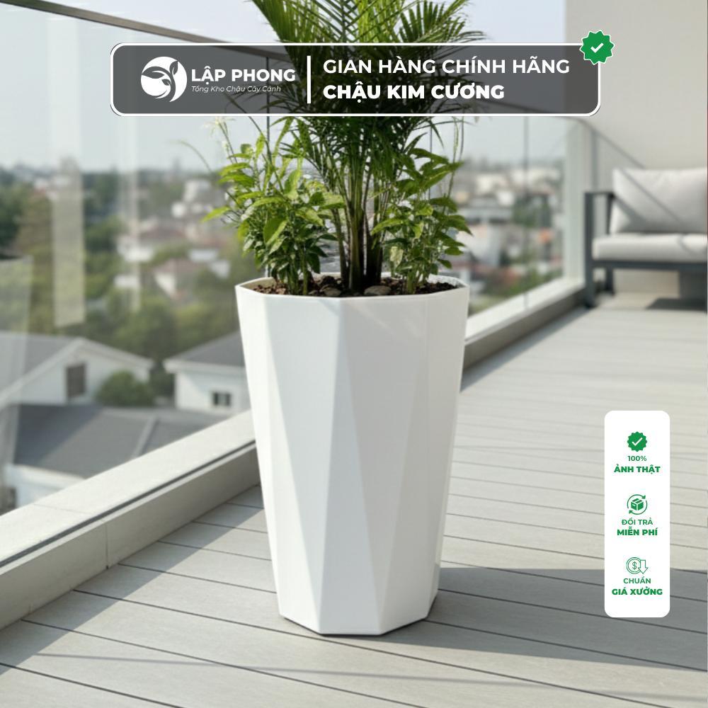 Chậu nhựa trồng cây có lỗ thoát nước [ Combo 5c ] Chậu Kim Cương loại trắng đẹp chuyên trồng hoa cây cảnh