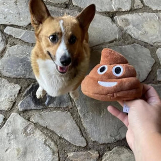 Funny Talking Poop Plush Toy,Makes Fart Sounds, Fake Poop Dog Toy for Kids & Dog