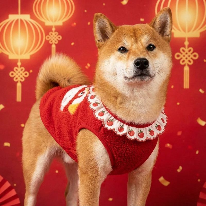 Đỏ Shiba Inu Schnauzer Corgi Chó Lớn Vừa Dễ Thương Thêu Áo Vest Năm Mới Lễ Hội Thú Cưng Lông Cừu Vest