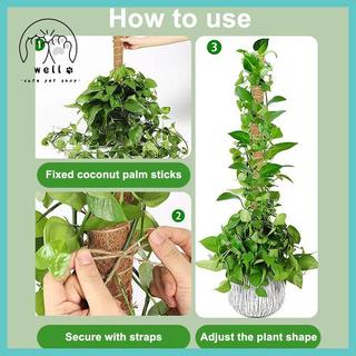 [wellstay1] 1 Chiếc Hỗ Trợ Cây Cực Rêu - Cây Trellis Rêu Cực Cho Cây Monstera - Rêu Cực Cho Cây Leo Cây Hỗ Trợ Sti [VN]