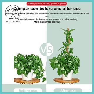 [wellstay1] 1 Chiếc Hỗ Trợ Cây Cực Rêu - Cây Trellis Rêu Cực Cho Cây Monstera - Rêu Cực Cho Cây Leo Cây Hỗ Trợ Sti [VN]