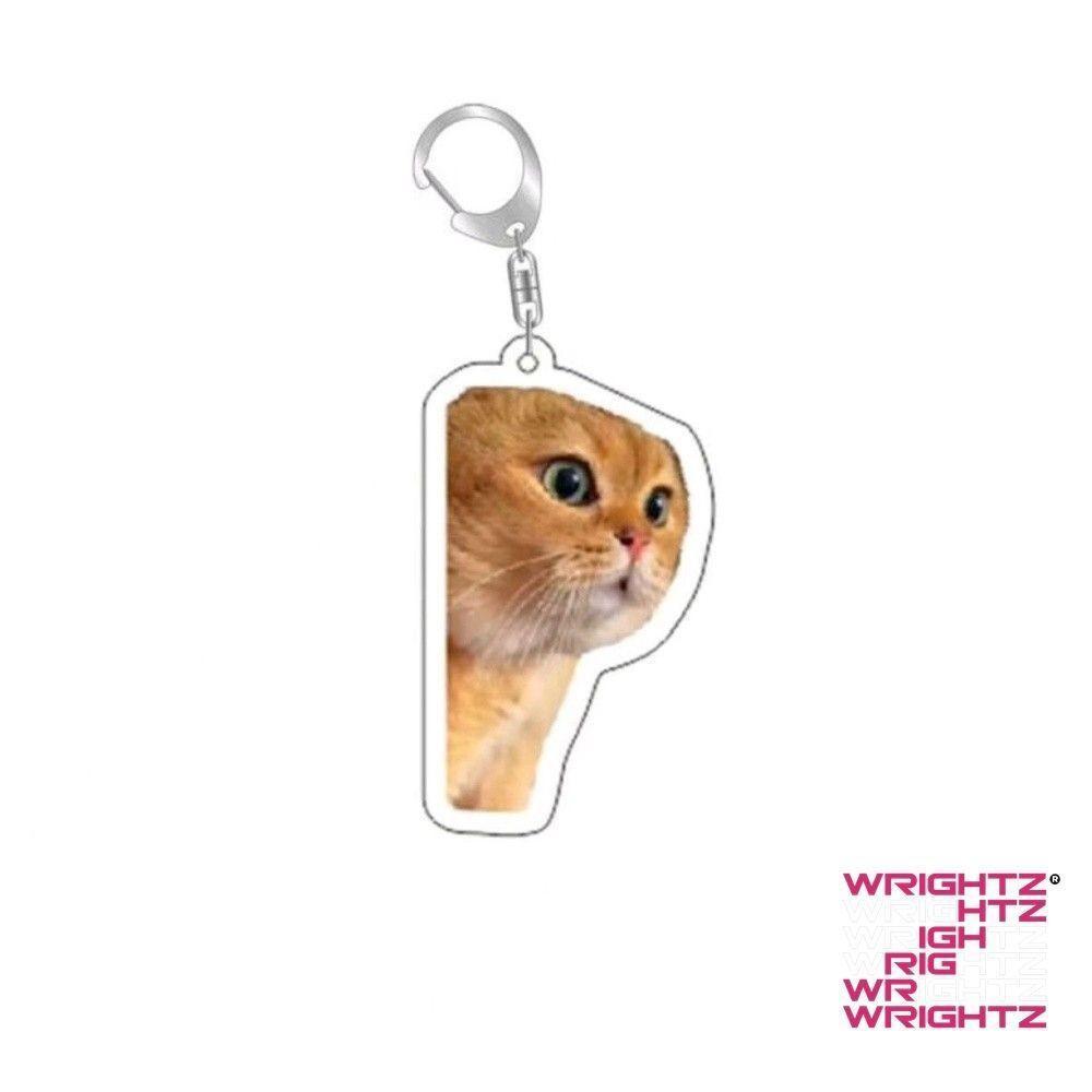 Rambling dê huh mèo Meme Keychain nhầm lẫn mèo memes mèo la hét với bàn chân trên đầu của nó món quà dễ WrightZ