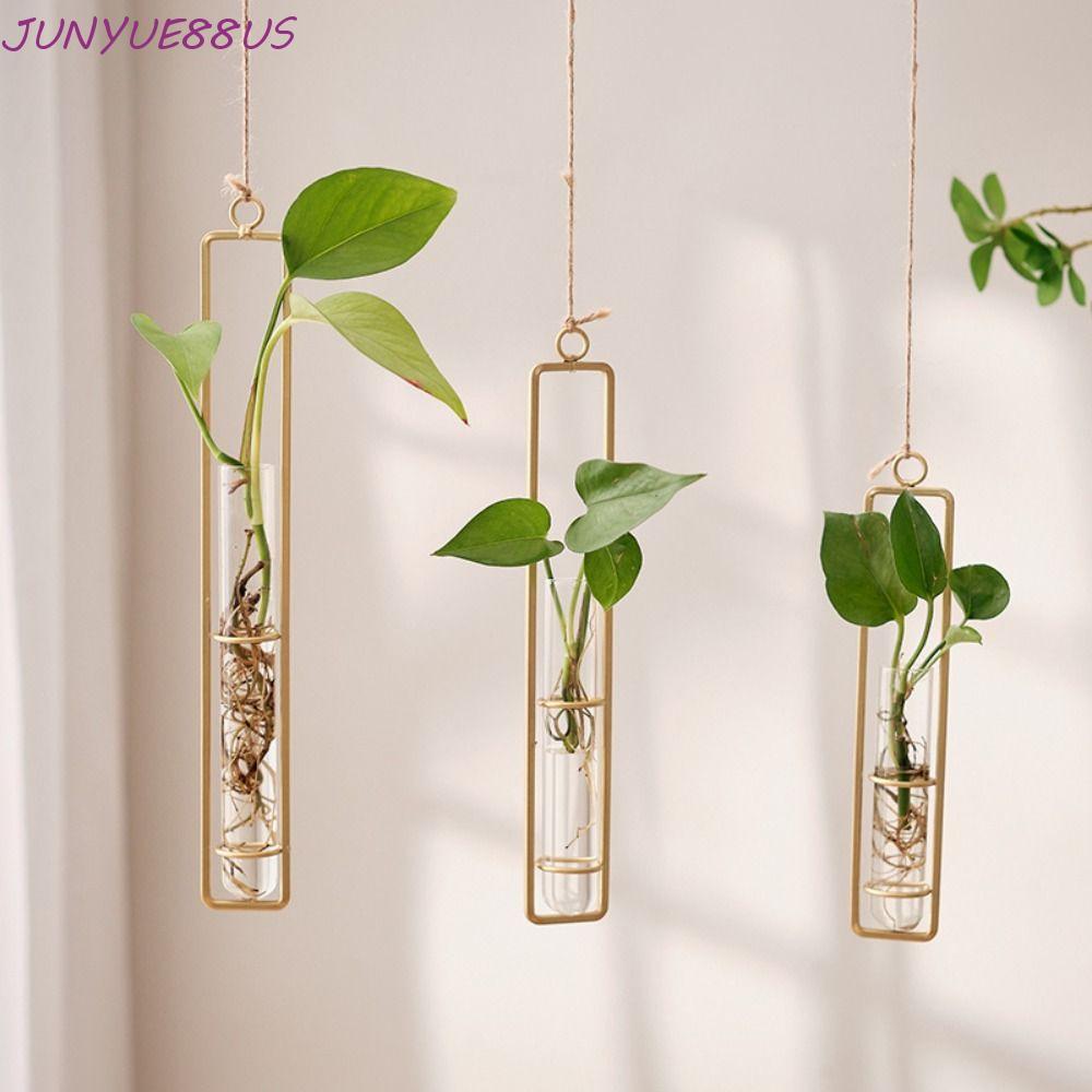 Bình ống nghiệm JUNYUE88US, Bình thủy tinh treo tường trong suốt treo tường, Hộp trồng cây bằng thủy tinh Bắc Âu Bình thủy tinh dày Cây xanh