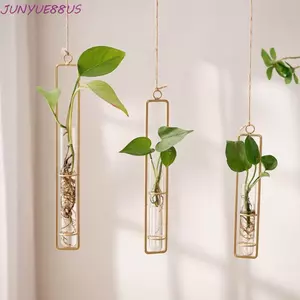 Bình ống nghiệm JUNYUE88US, Bình thủy tinh treo tường trong suốt treo tường, Hộp trồng cây bằng thủy tinh Bắc Âu Bình thủy tinh dày Cây xanh