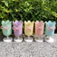 Giá Đỡ Bút Tulip Để Bàn Cô Gái Dễ Thương Bút Trẻ Em Học Sinh Đồ Trang Trí Sáng Tạo Học Sinh Tiểu Học Cao Cấp Đa Năng