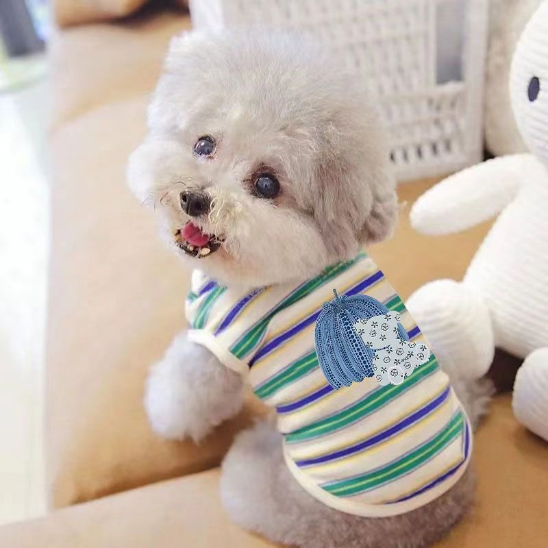 Mùa Xuân Phong Cách Mùa Hè Chống Nắng Thoáng Mát Quần Áo Thú Cưng Thoải Mái Thoáng Khí Teddy Bi Mèo Quần Áo Chó Nhỏ Size Vừa Áo Vest Cho Chó
