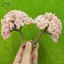 HFTOY Mô Phỏng Cây Hoa Nhựa Mô Hình Thu Nhỏ Cho Sân Vườn Đường Sắt Công Viên Để Bàn Trang Trí Phong Cảnh Tiệc Cưới Cảnh ~