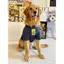 【Ready Stock】 Summer Dog Clothes Thin Labrador Golden Retriever Anti-Lint Cute Medium-Sized Dog Large Dog Dog Pet Clothes n3oH