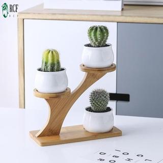 Cây mọng nước tre Giá đỡ vật liệu tự nhiên Kệ hoa nhỏ nhiều lớp cho máy tính để bàn văn phòng tại nhà