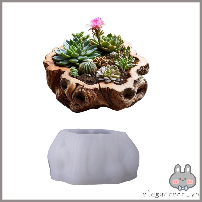 Khuôn Silicone ELEGA Cho Chậu Trồng Bê Tông và Mọng Nước
