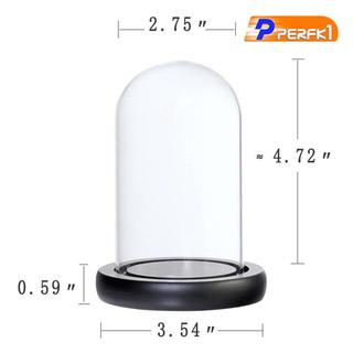 Bình trồng cây và hoa có nắp và đế f / Store Trang trí trưng bày tại nhà