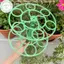 PUSKY 1 Cây Một Lớp Hỗ Trợ Leo Cây Nho Hoa Braets Nhựa Khung Phẳng Dâu Trồng Cọc Vườn Chèn Đứng VN