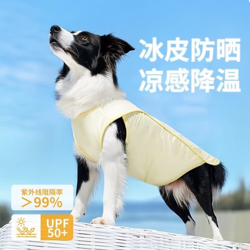 Mùa Hè Bên Ngoài Mặc Thoáng Mát Cảm Giác Chống Rơi Chó Lớn Áo Chống Nắng Làm Mát Vừa Lớn Bên Shepherd Vàng Retriever Chó