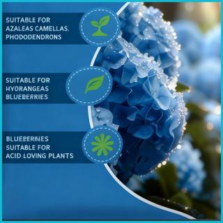 Phân bón Hydrangea Sửa đổi điều chỉnh PH lâu dài 100g Phân bón axit cho cây trồng cho vườn nhà enmdavn
