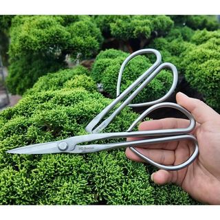 KÉO TỈA DĂM CÂY CẢNH - Bản cao cấp - HD BONSAI Thép trắng không gỉ. Độ dài 210mm Trọng lượng 145g