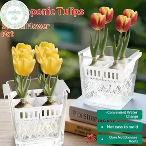 Hộp đựng thủy canh PUSKY có giỏ hỗ trợ thoáng khí Hạt hoa Tulip Chậu hoa thủy canh 4 lỗ Chậu hoa không đất Trang trí nhà cửa VN