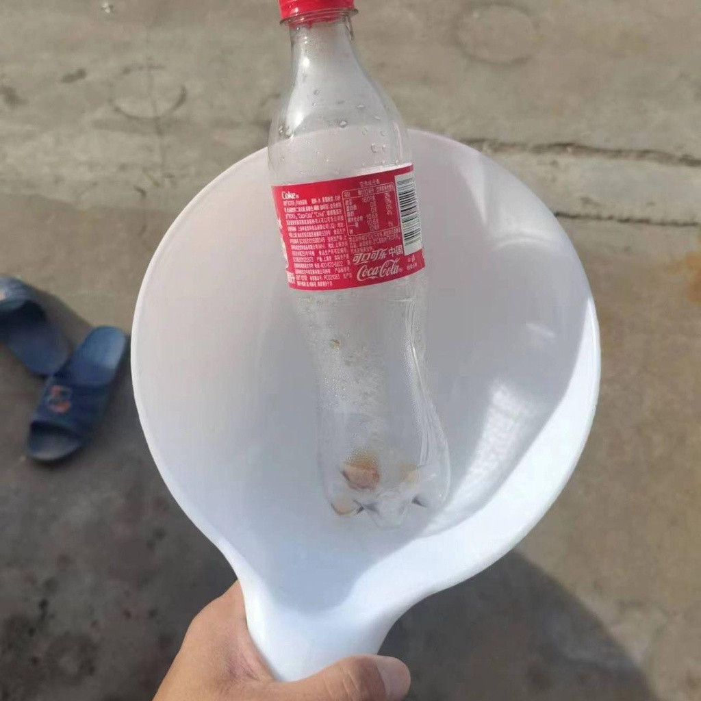 Văn Hóa Nhựa Nước Nhàn Mì Trắng Mồi Muỗng Nuôi Thủy Sản Cho Ăn Nước Nhàn Kích Thước Lớn Tắm Thìa Nước Hộ Gia Đình NTSI