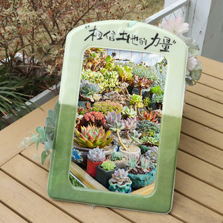 Giá đỡ Photocard HEARLY, Vỏ bảo vệ hình ảnh thần tượng Hàn Quốc đầy màu sắc, Vỏ thẻ khổng lồ PVC A4