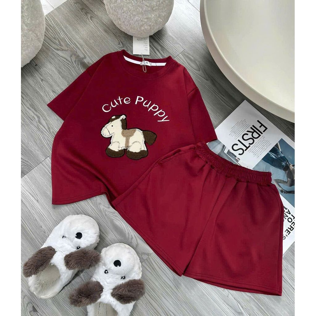 SET Bộ GỒM 2 MÓN Quần ĐÙI CỘC TRƠN XĐẬM+áo PHÔNG XĐẬM-THOITRANGTHUBIO