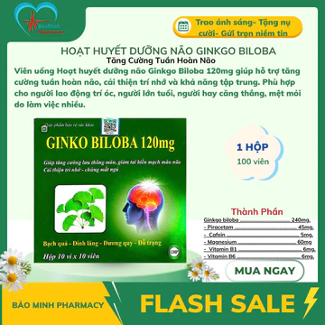 Hoạt Huyết Dưỡng Não Ginkgo Biloba 120mg – Tăng Cường Tuần Hoàn Não | Hộp 100 Viên