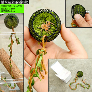 Nơi ẩn náu từ tính nhện nhảy; tắc kè cây / nam châm lỗ cây tắc kè nhỏ; leo núi leo núi nơi ẩn náu thú cưng nhỏ.