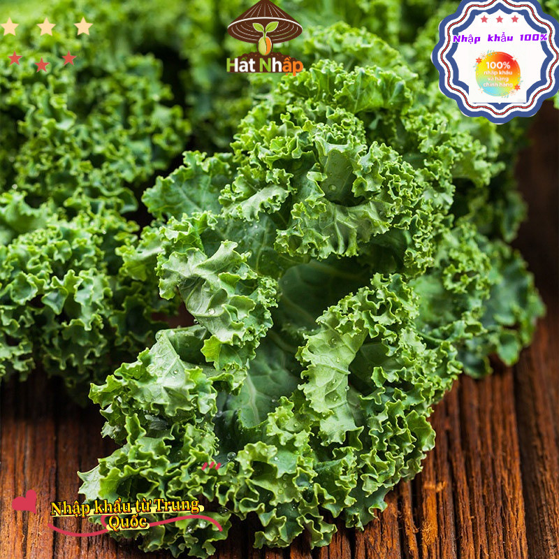 Hạt giống cải kale, cải xoăn chịu nhiệt，-k009