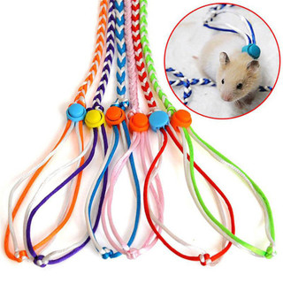 Dây xích thú cưng nhỏ 1.4m Dây nịt có thể điều chỉnh cho Hamster Rabbit Guinea Pig Walking