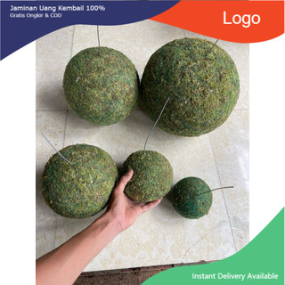 - .. Bóng cầu rêu kokedama decor không gian, loại đặc .