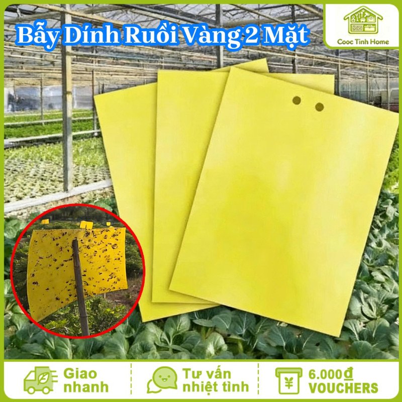 Bẫy Dính Ruồi Vàng 2 Mặt 10x20cm - Hiệu Quả Cao Trong Việc Dụ Và Diệt Ruồi Vàng, Côn Trùng Gây Hại Cho Vườn Cây