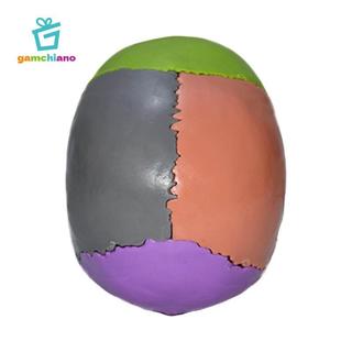 Gamchiano Palm Sized 1: 1 Mô hình PVC, 15 bộ phận Thiết bị giảng dạy có thể tháo rời, Mô hình Mini kích thước cuộc sống