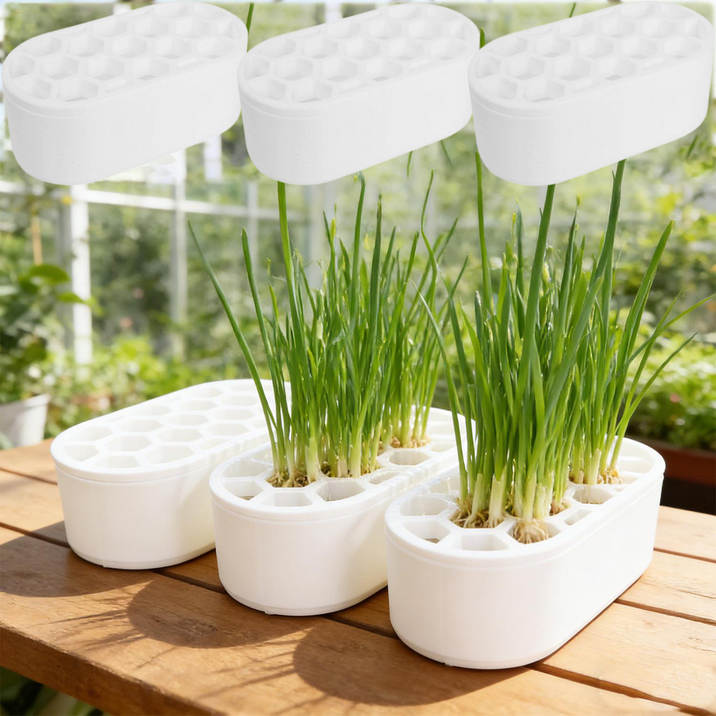 Chậu trồng cây nhà bếp cầm tay Tái tạo trồng cây-Tốt tỏi thủy canh không đất Rau củ