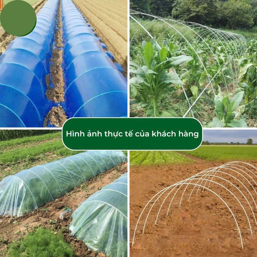 Combo 5 Nan Vòm Sợi Thủy Tinh D5mm - Khung Che Côn Trùng Trồng Rau Sạch, Dẻo Dai Siêu Bền (Tháp Xanh)