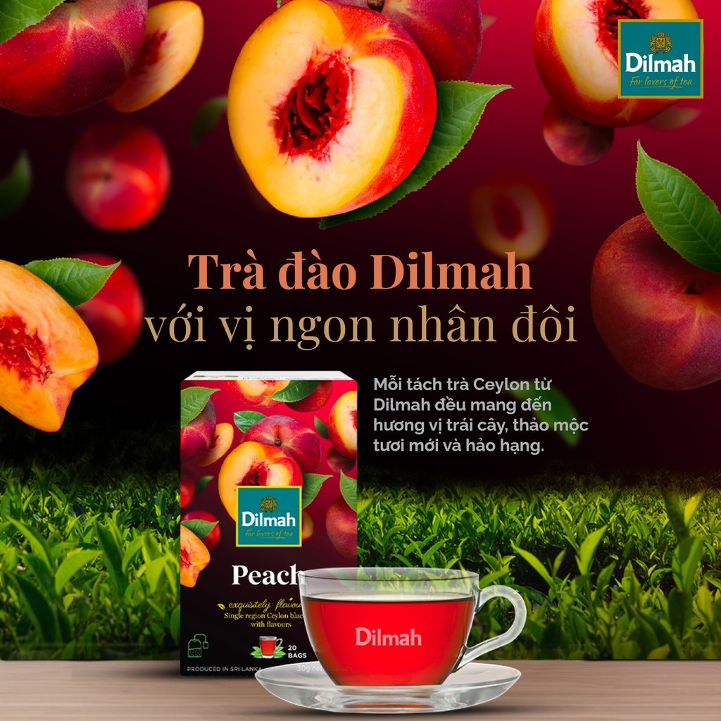 Trà Dilmah Đào – Peach 30g (1.5g x 20 túi) Hương Đào Ngọt Dịu, Vị Trà Đậm Đà Cho Ly Trà Thơm Ngát