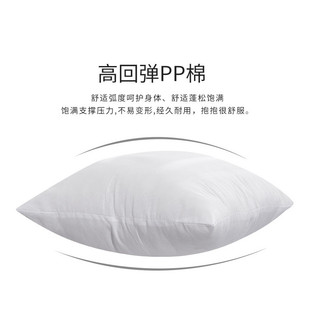 Hàng sẵn có kiểu kem kiểu Pháp Gối Sofa phòng khách Gối phong cách hiện đại Trang trí đơn giản Màu đen Trắng Vỏ gối cao cấp Cảm giác cao cấp 01